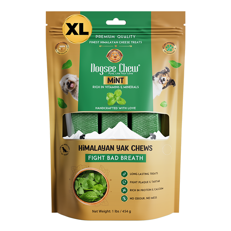 Dogsee Mint Yak Cheese Himalayan Dog Chews