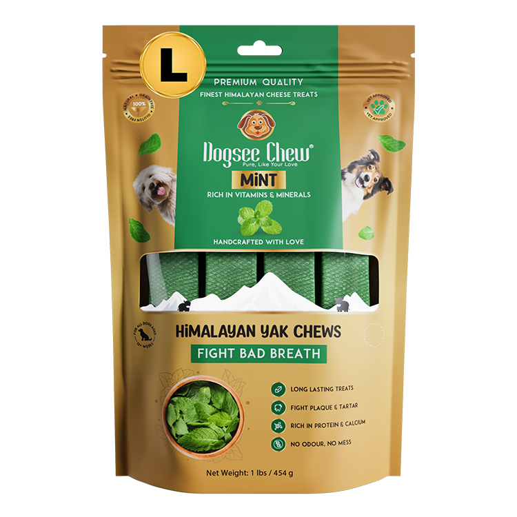 Dogsee Mint Yak Cheese Himalayan Dog Chews