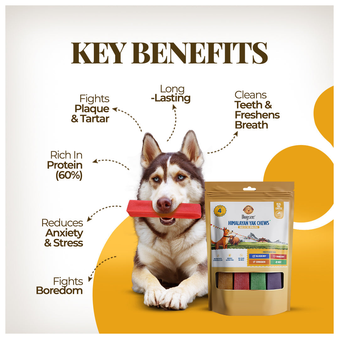 Dogsee Multiflavor Yak Chews(Blueberry Cranberry Cinnamon & Mint)