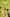 Promotion banner