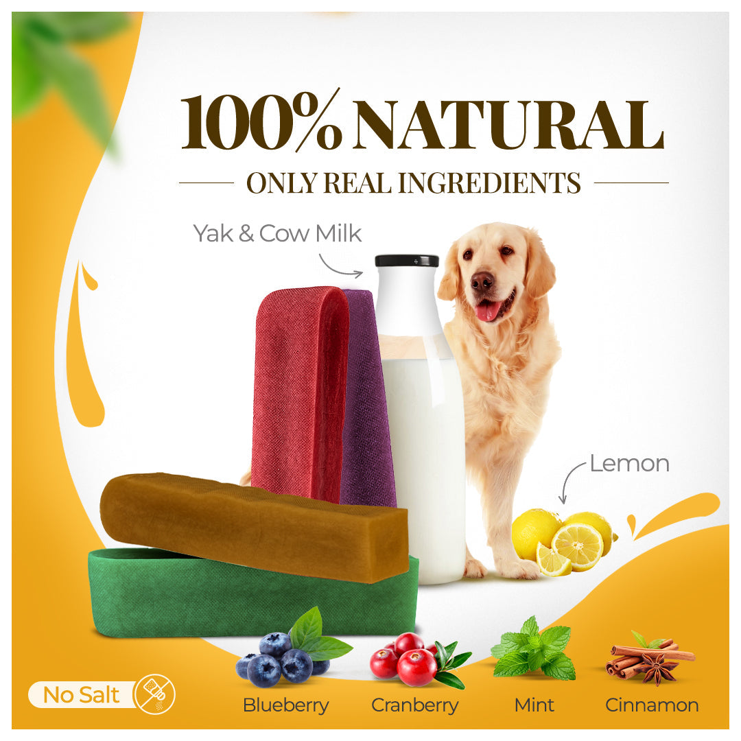 Dogsee Multiflavor Yak Chews(Blueberry Cranberry Cinnamon & Mint)