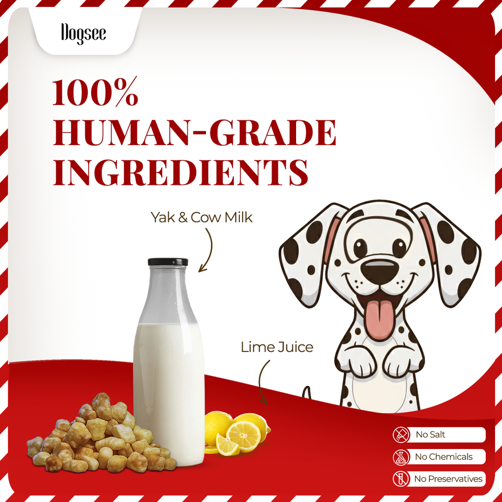 Dogsee Mini Pops Puffed Yak Coconut Treats