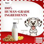 Dogsee Mini Pops Puffed Yak Coconut Treats