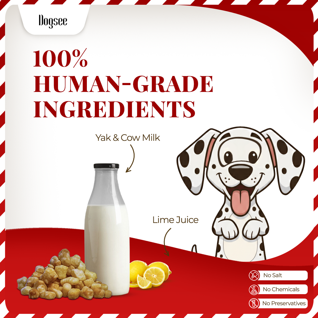 Dogsee Mini Pops Puffed Yak Coconut Treats
