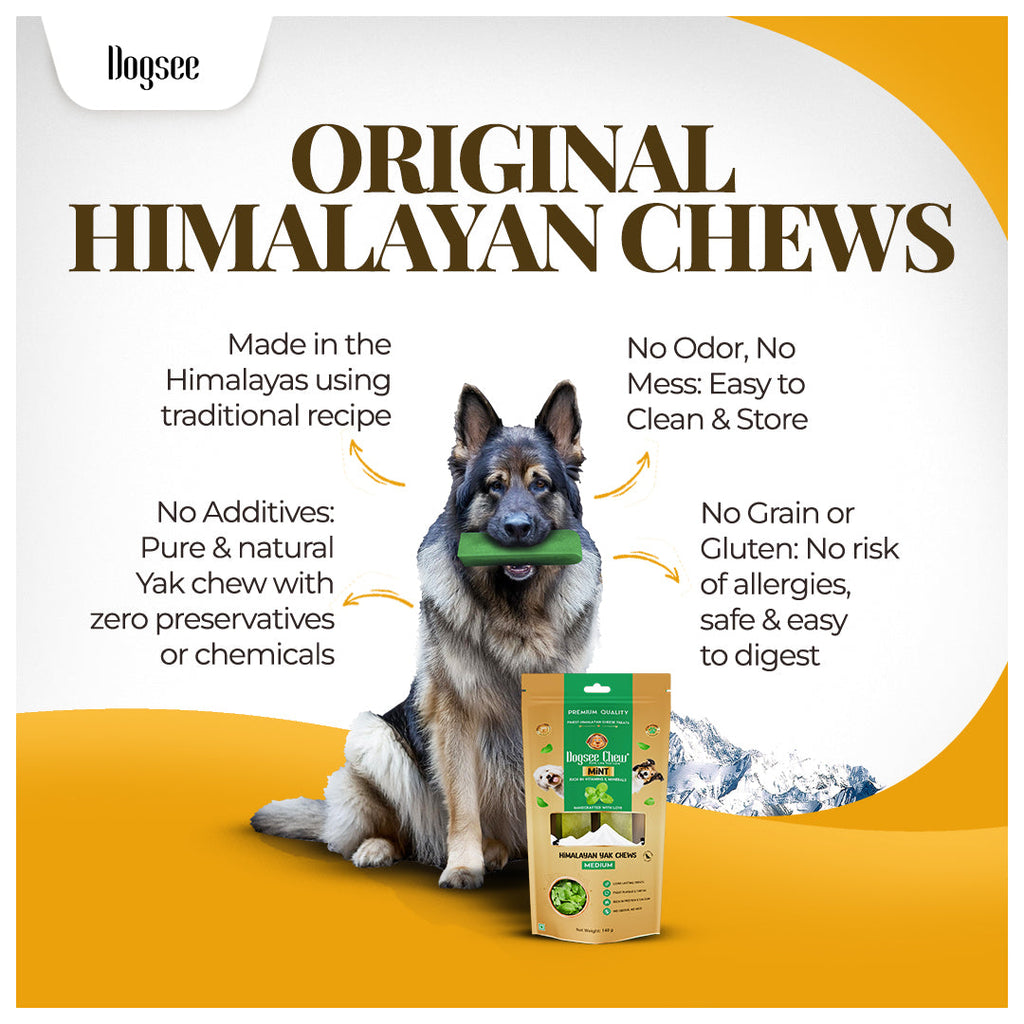 Dogsee Mint Yak Cheese Himalayan Dog Chews