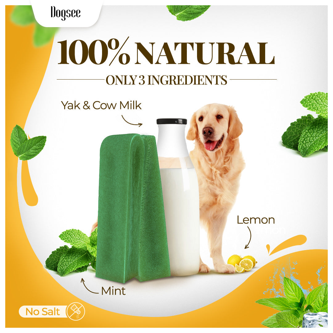 Dogsee Mint Yak Cheese Himalayan Dog Chews