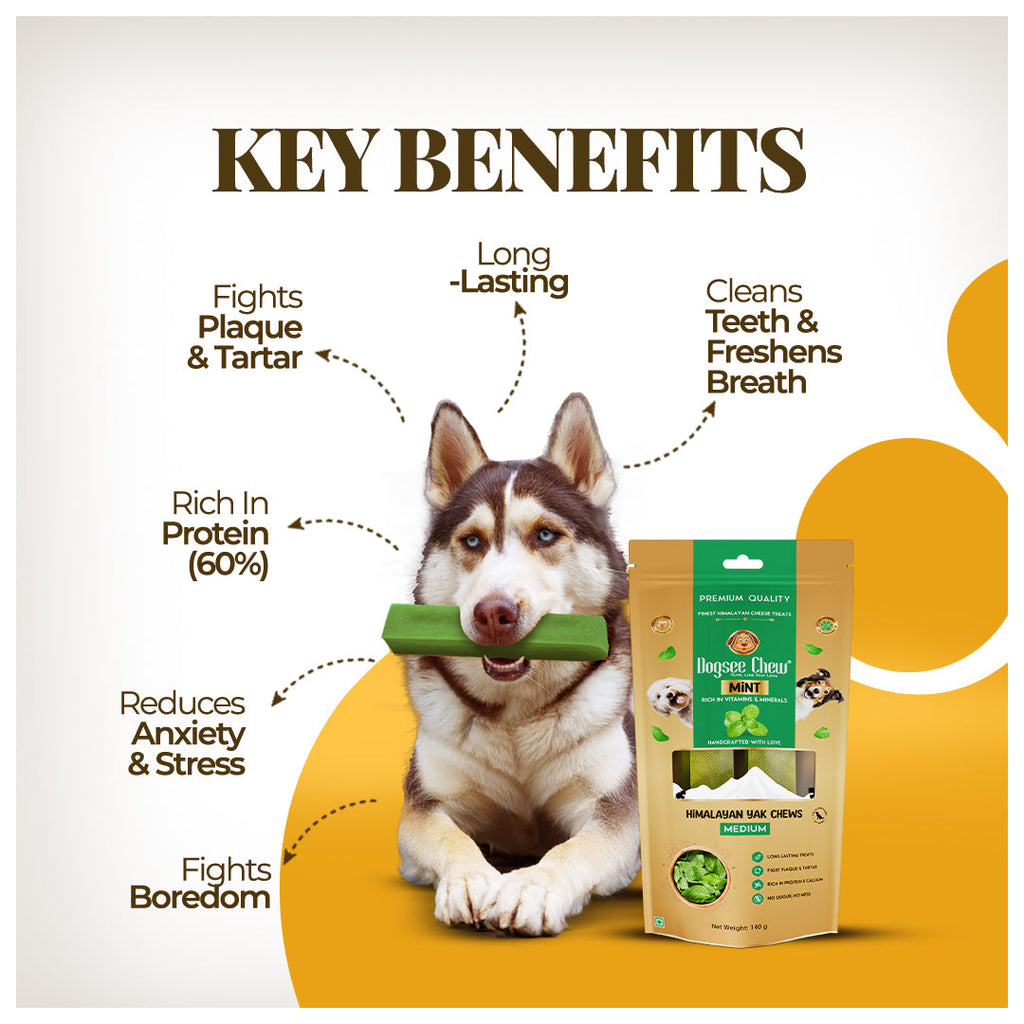 Dogsee Mint Yak Cheese Himalayan Dog Chews