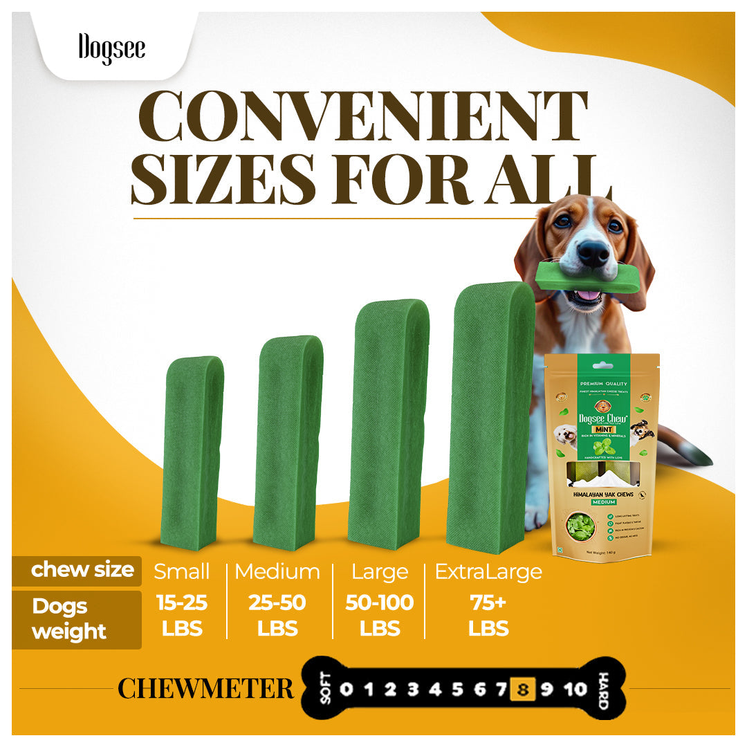 Dogsee Mint Yak Cheese Himalayan Dog Chews