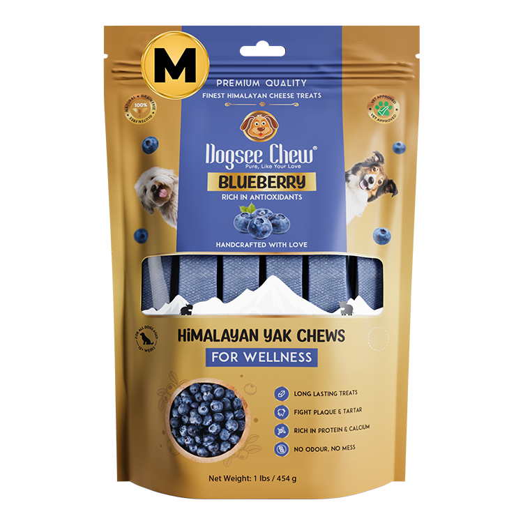 Dogsee Blueberry Yak Cheese Himalayan Dog Chews