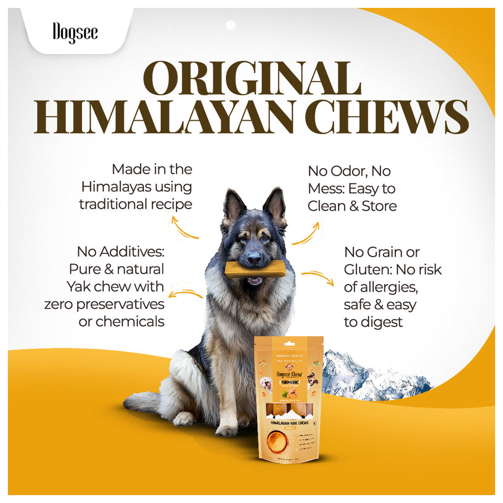 Dogsee Turmeric Yak Cheese Himalayan Dog Chews