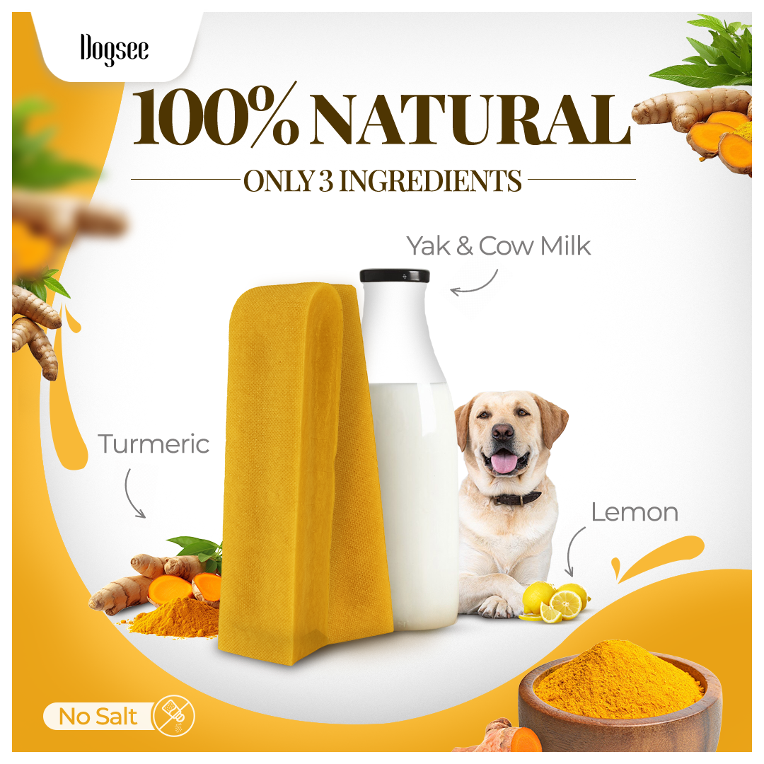 Dogsee Turmeric Yak Cheese Himalayan Dog Chews