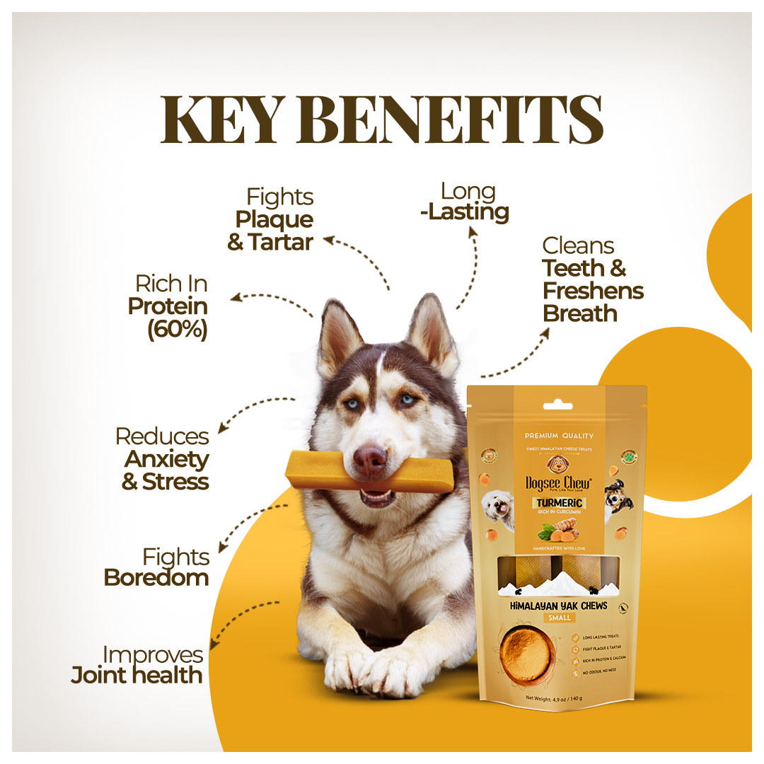 Dogsee Turmeric Yak Cheese Himalayan Dog Chews