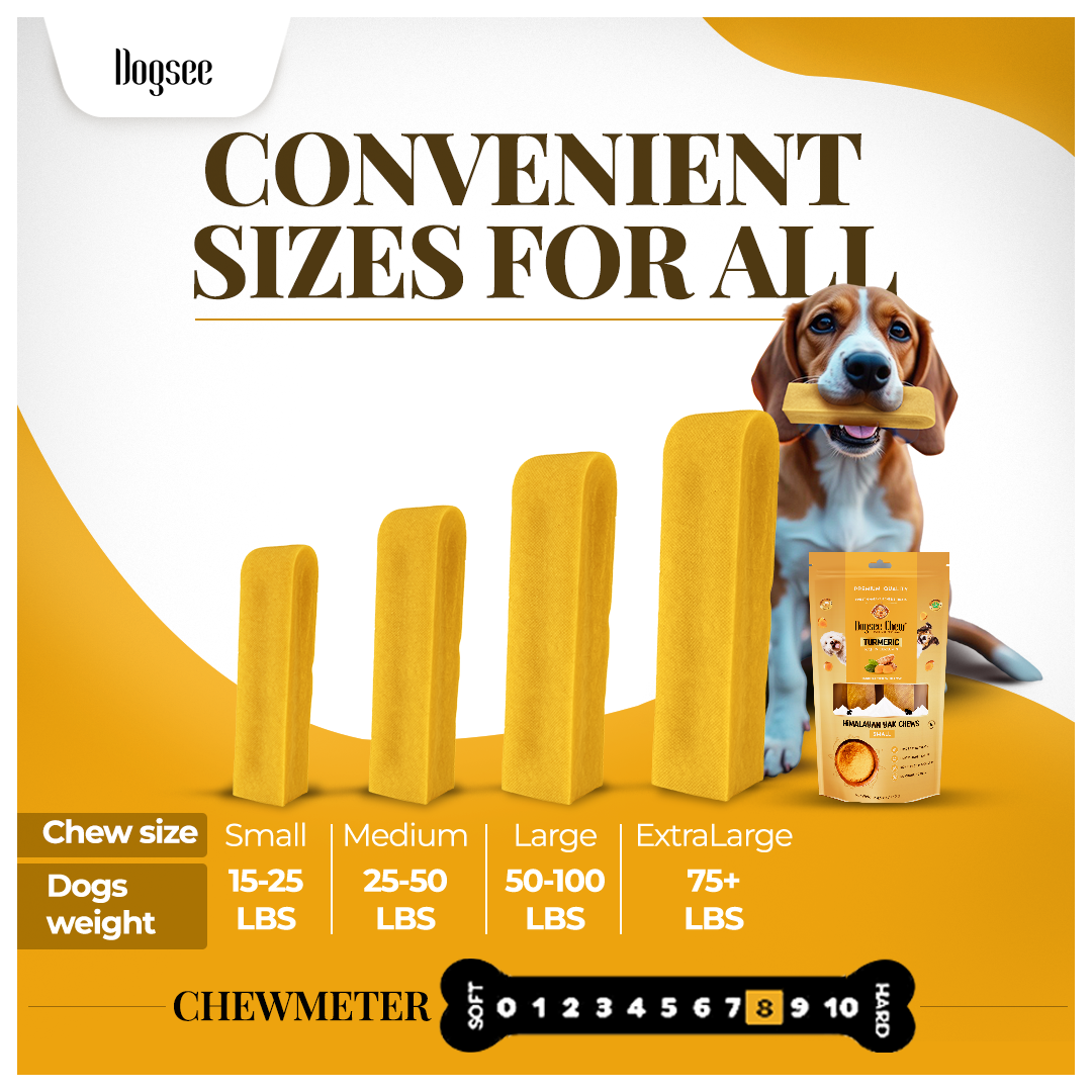 Dogsee Turmeric Yak Cheese Himalayan Dog Chews