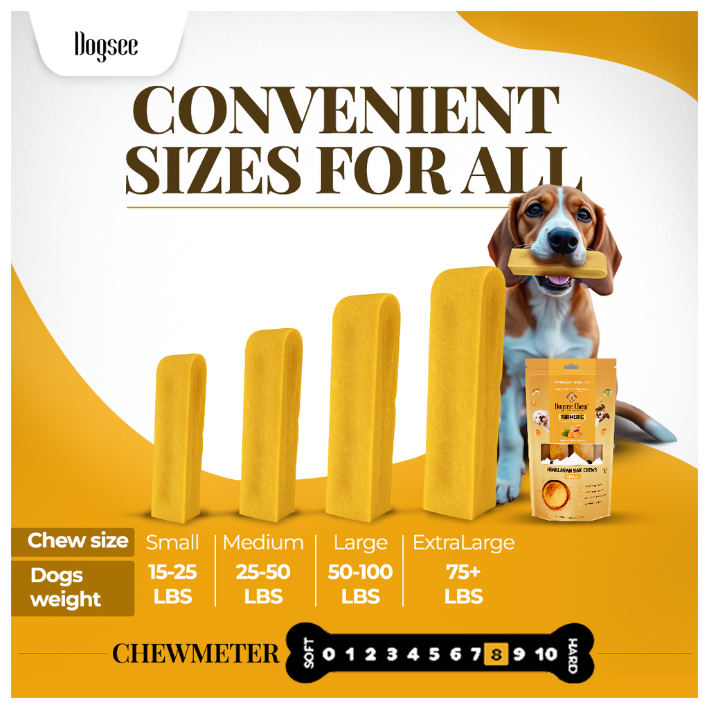 Dogsee Turmeric Yak Cheese Himalayan Dog Chews