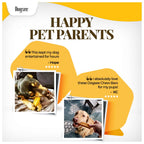 Dogsee Turmeric Yak Cheese Himalayan Dog Chews