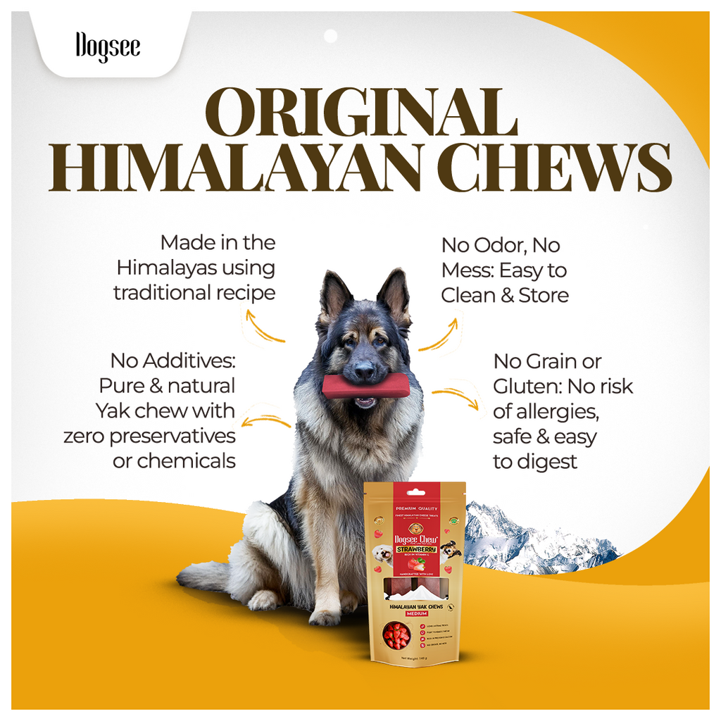 Dogsee Strawberry Yak Cheese Himalayan Dog Chews