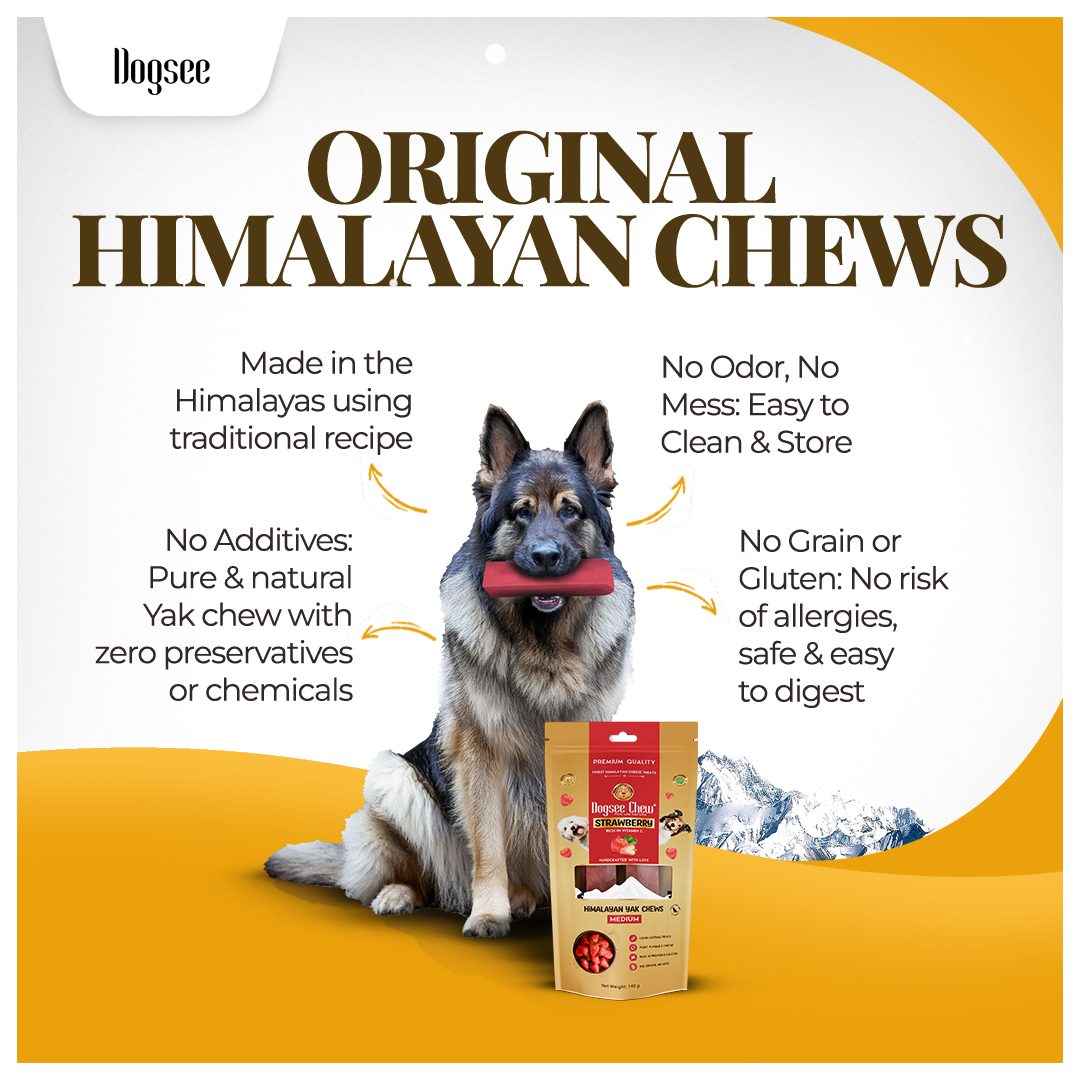 Dogsee Strawberry Yak Cheese Himalayan Dog Chews