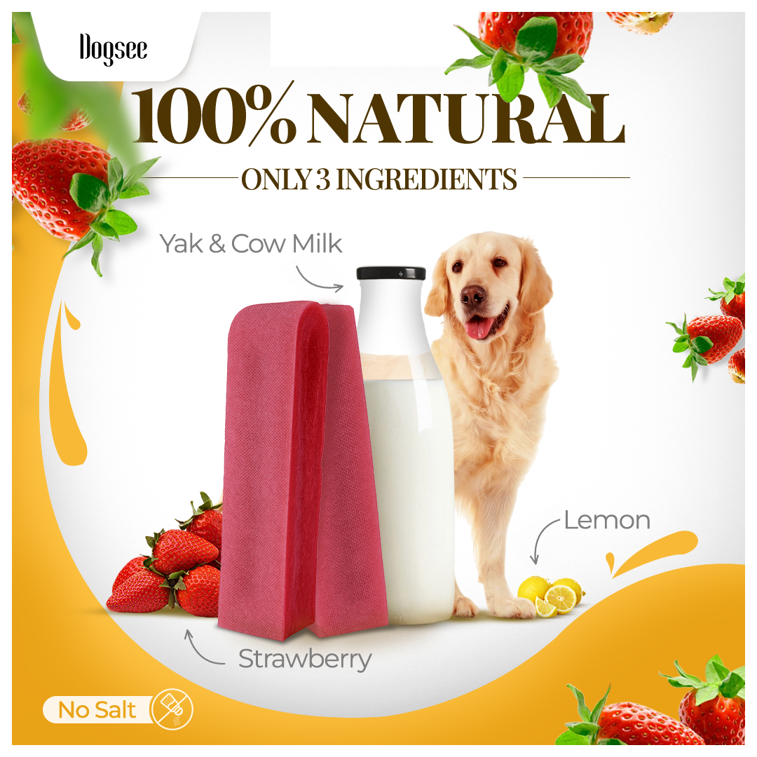 Dogsee Strawberry Yak Cheese Himalayan Dog Chews