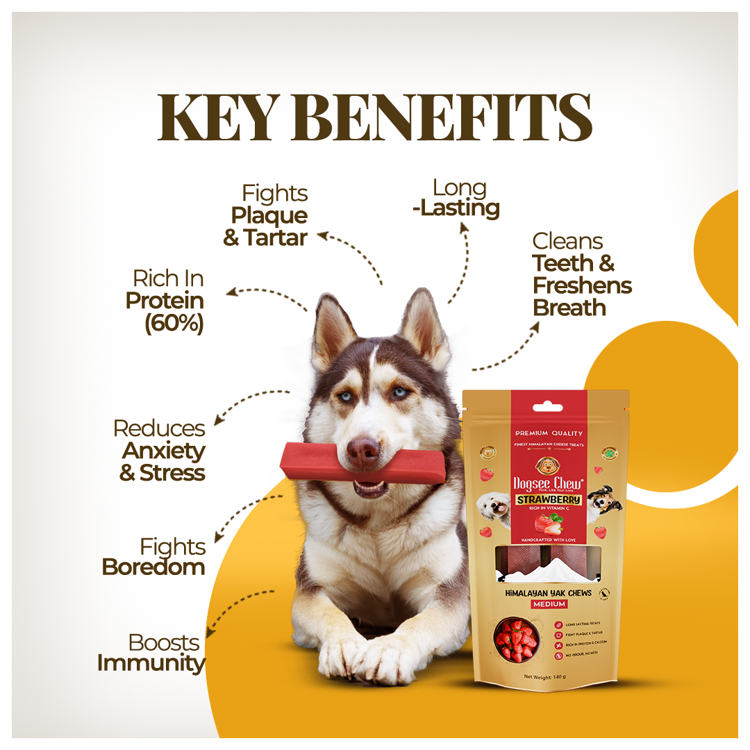 Dogsee Strawberry Yak Cheese Himalayan Dog Chews