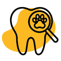 Dental Health