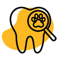 Supports Dental Health