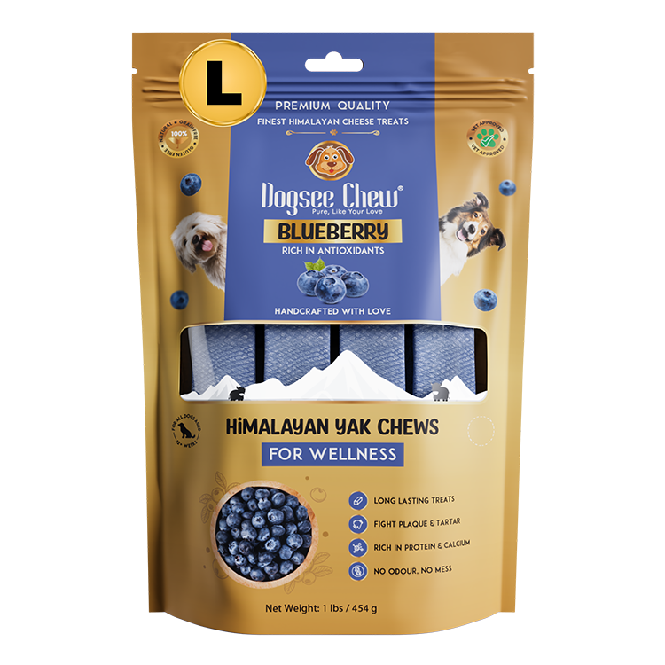 Dogsee Blueberry Yak Cheese Himalayan Dog Chews