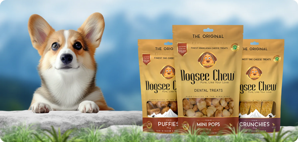 Soft Dental Treats
