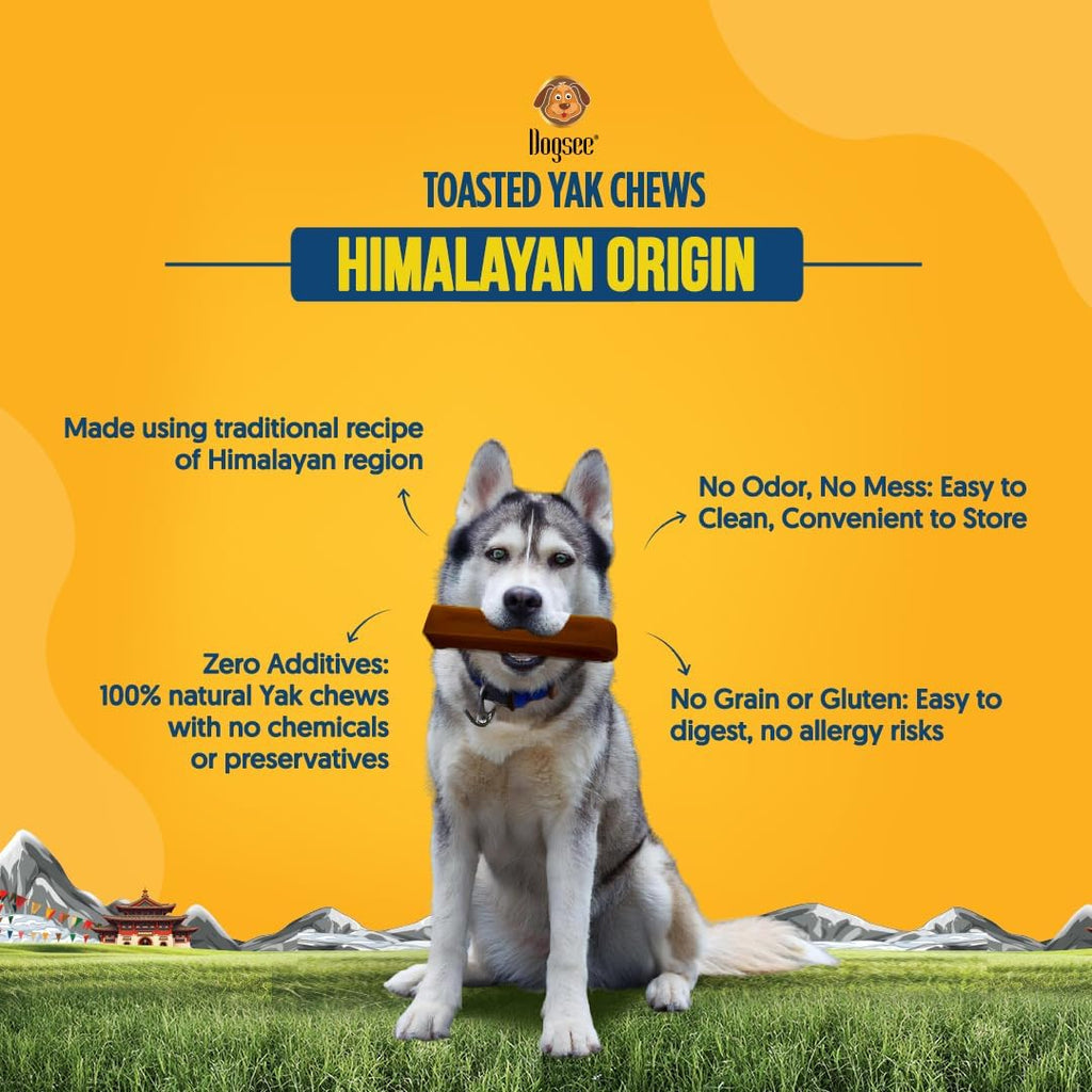 Dogsee Toasted Yak Cheese Himalayan Dog Chews