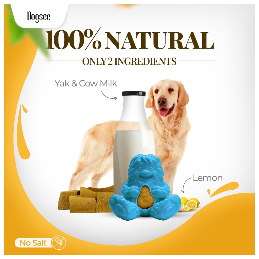 Dogsee Treatoy Refill