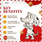 Dogsee Mini Pops Puffed Yak Turmeric Treats