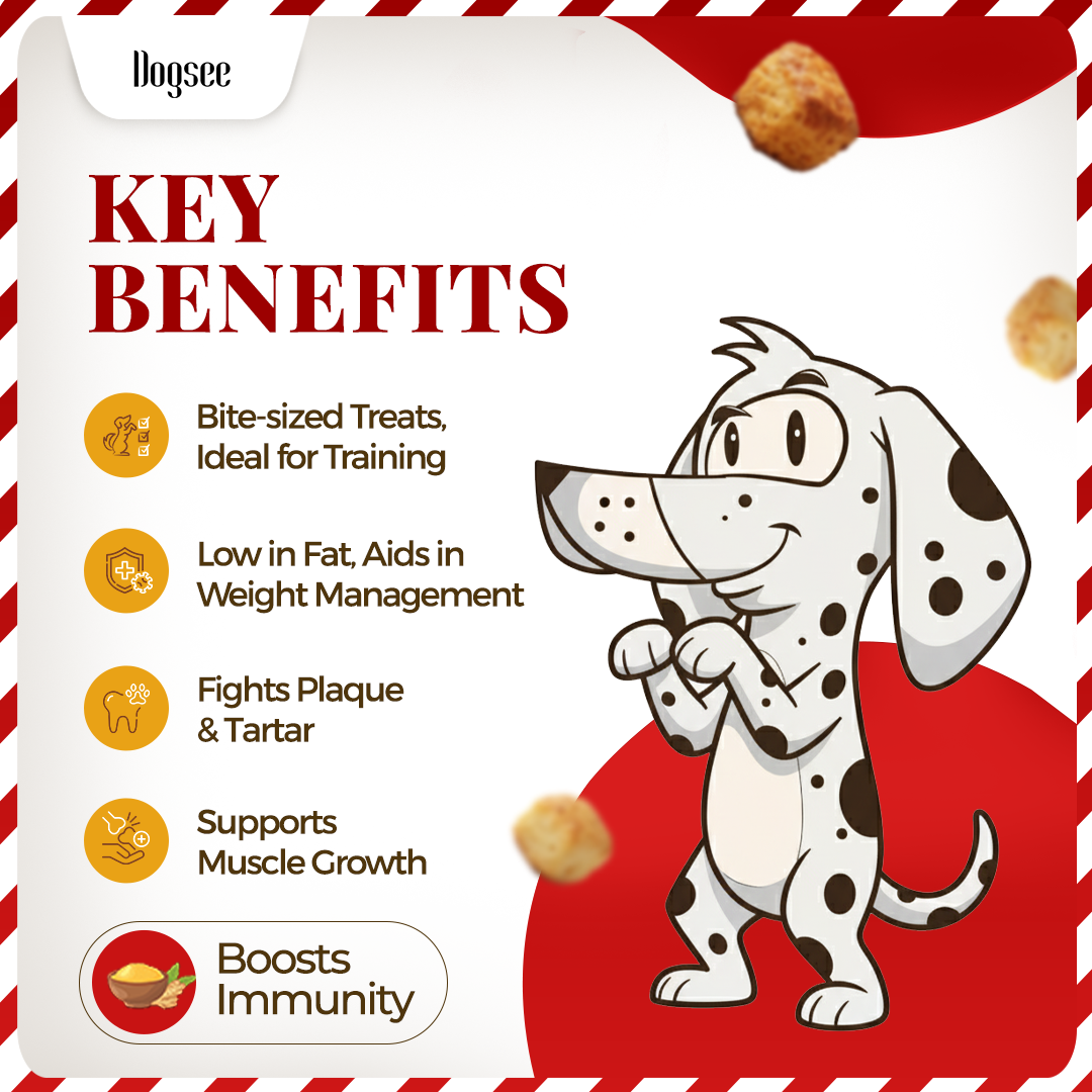 Dogsee Mini Pops Puffed Yak Turmeric Treats