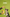 Promotion banner