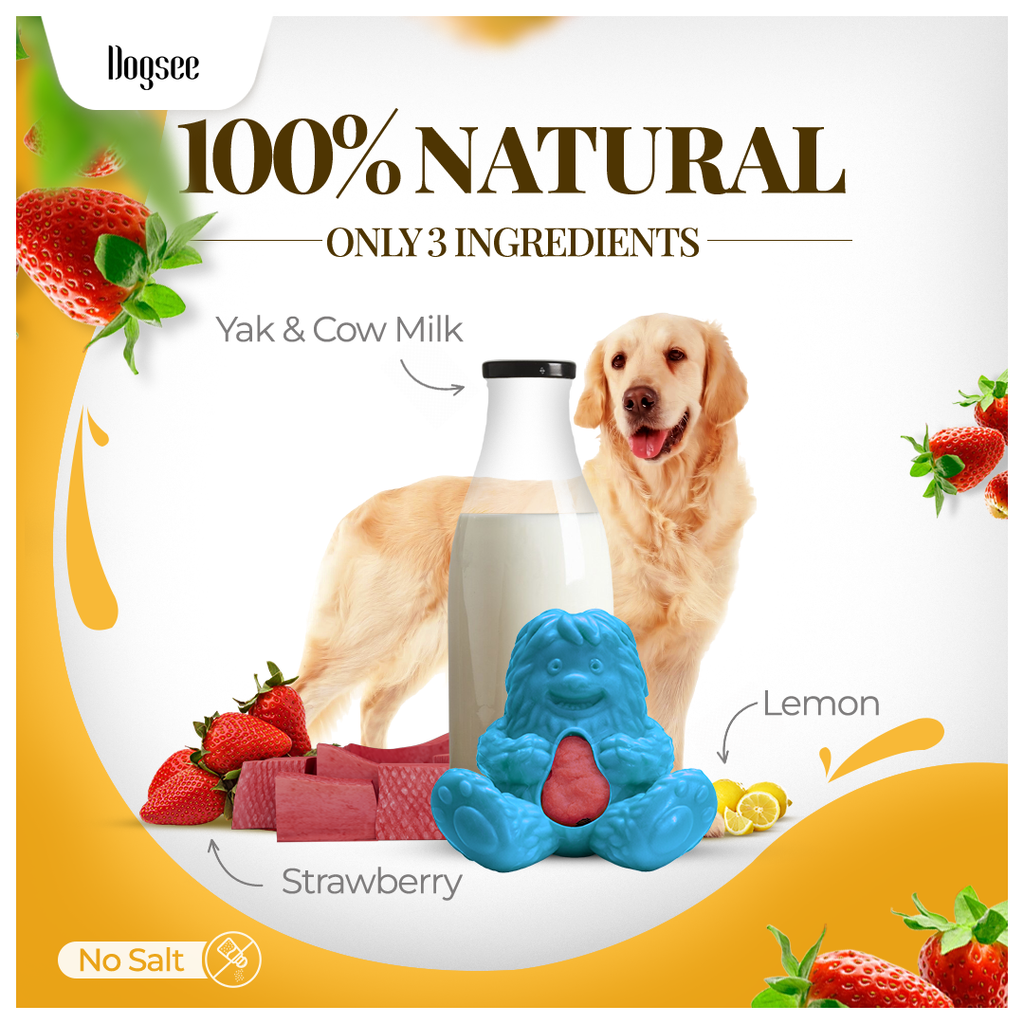 Dogsee Treatoy Refill