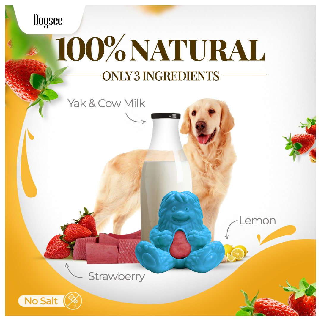 Dogsee Treatoy Refill