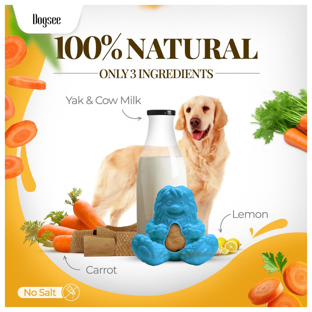 Dogsee Treatoy Refill