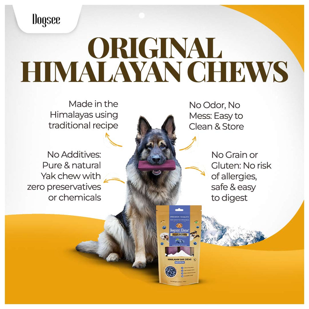 Dogsee Blueberry Yak Cheese Himalayan Dog Chews