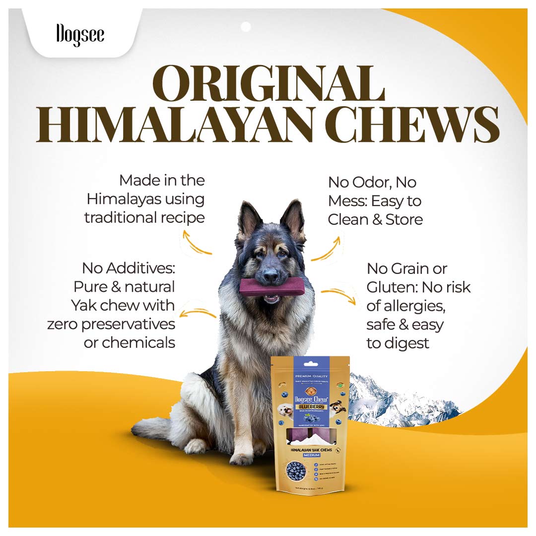 Dogsee Blueberry Yak Cheese Himalayan Dog Chews
