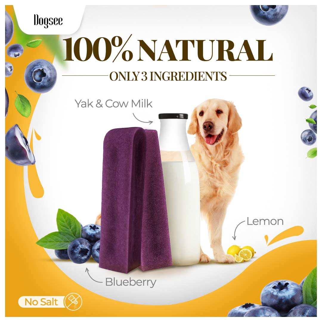 Dogsee Blueberry Yak Cheese Himalayan Dog Chews