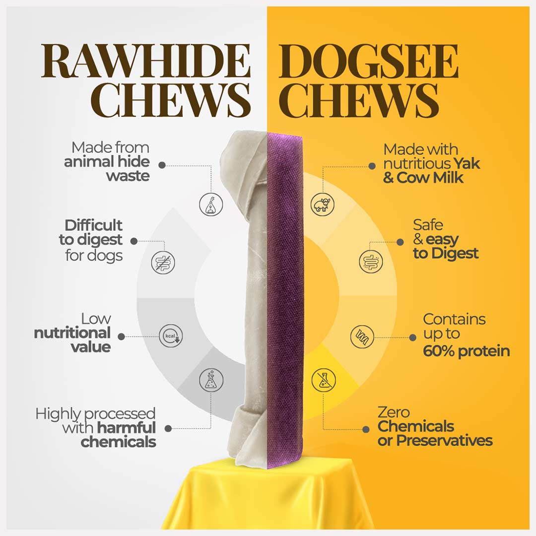 Dogsee Blueberry Yak Cheese Himalayan Dog Chews