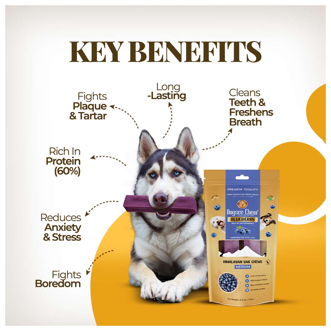 Dogsee Blueberry Yak Cheese Himalayan Dog Chews