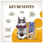 Dogsee Blueberry Yak Cheese Himalayan Dog Chews