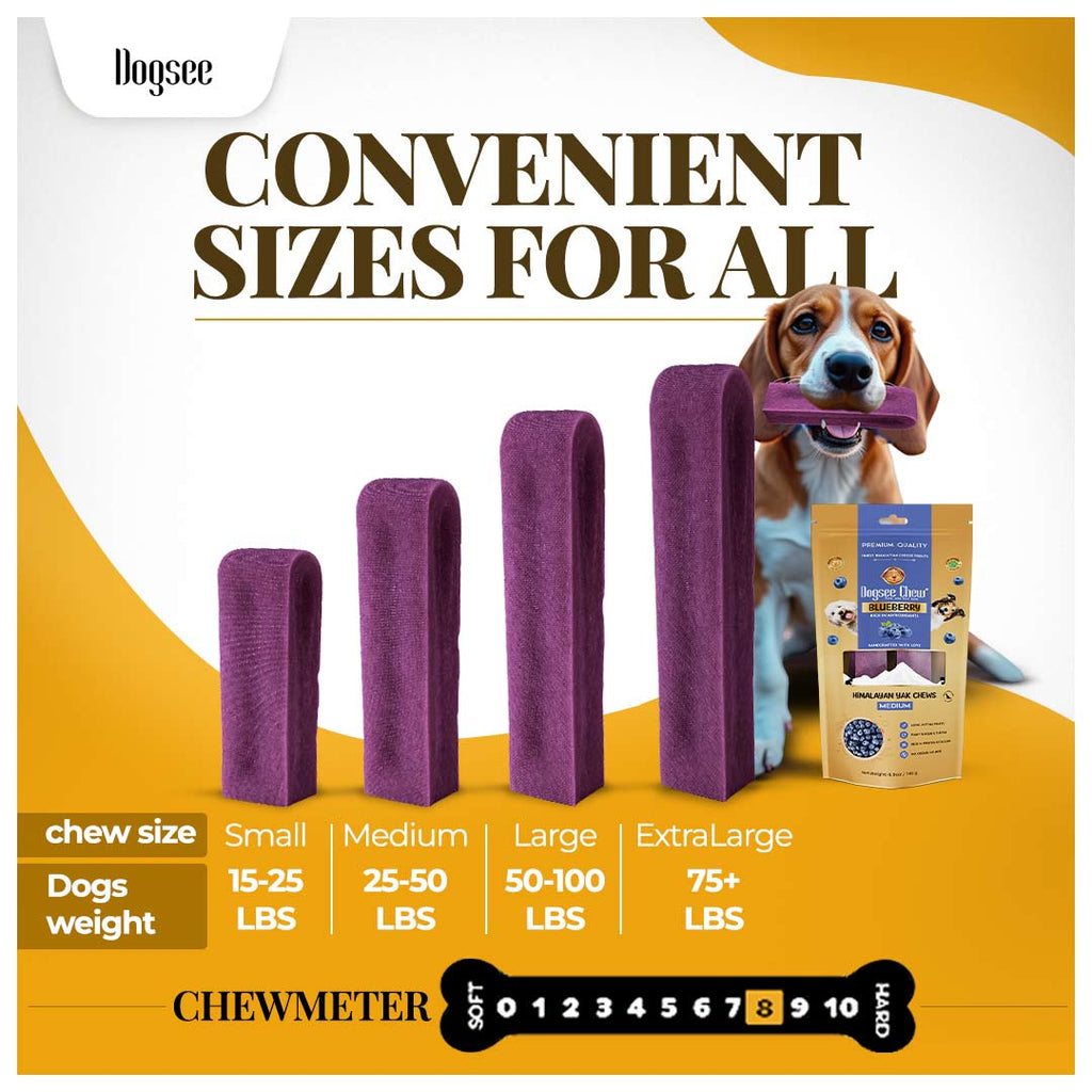 Dogsee Blueberry Yak Cheese Himalayan Dog Chews