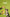 Promotion banner