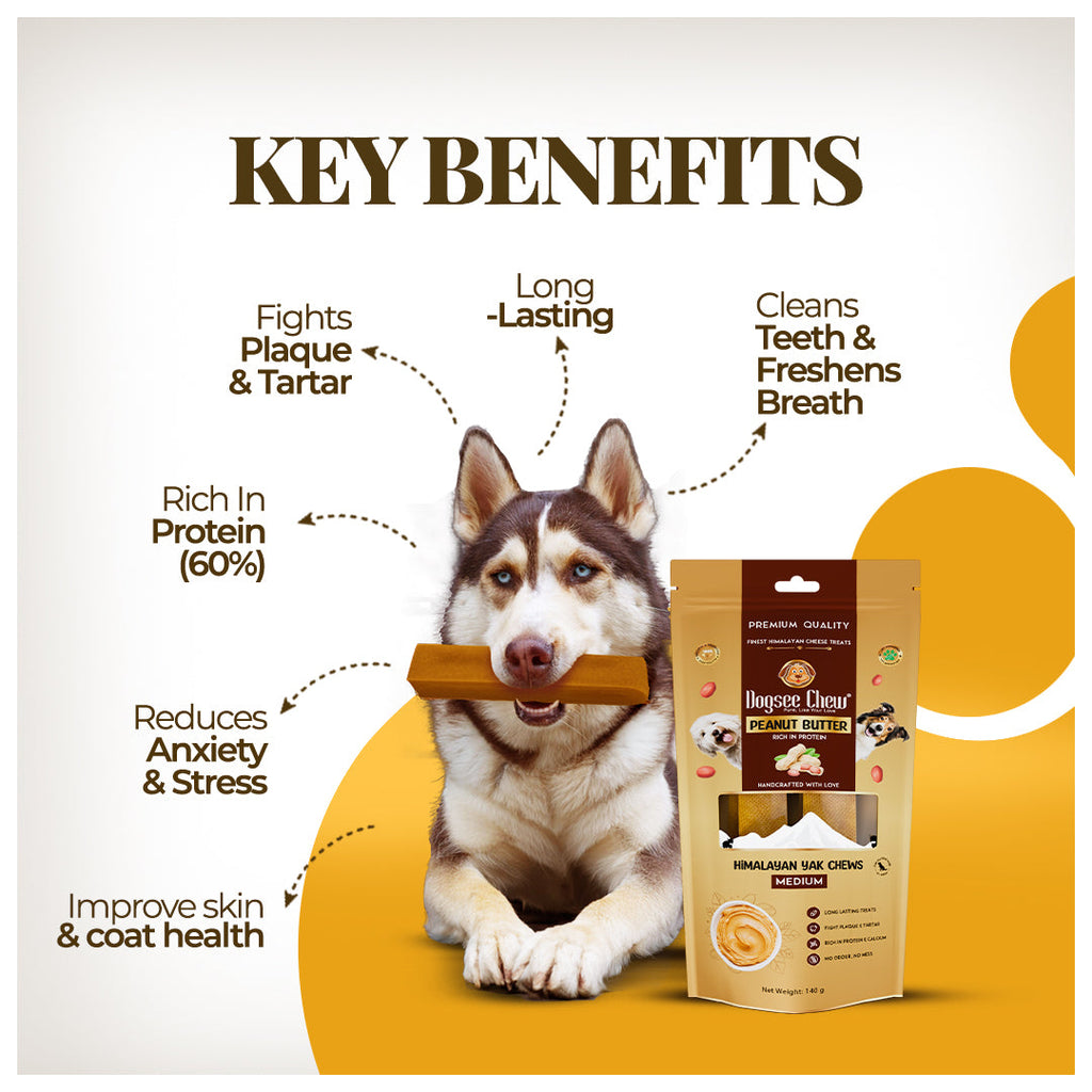 Dogsee Peanut Butter Yak Cheese Himalayan Dogs Chews