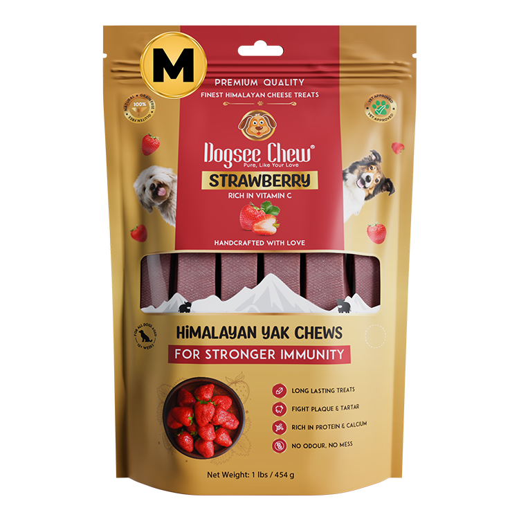 Dogsee Strawberry Yak Cheese Himalayan Dog Chews