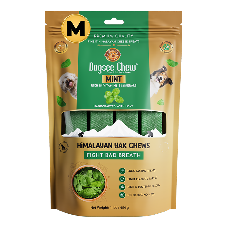 Dogsee Mint Yak Cheese Himalayan Dog Chews