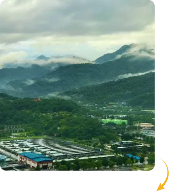 Carbon-negative manufacturing to preserve the ecosystem