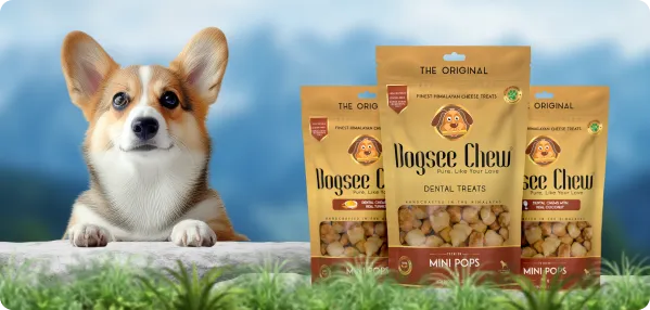 Soft Dental Treats