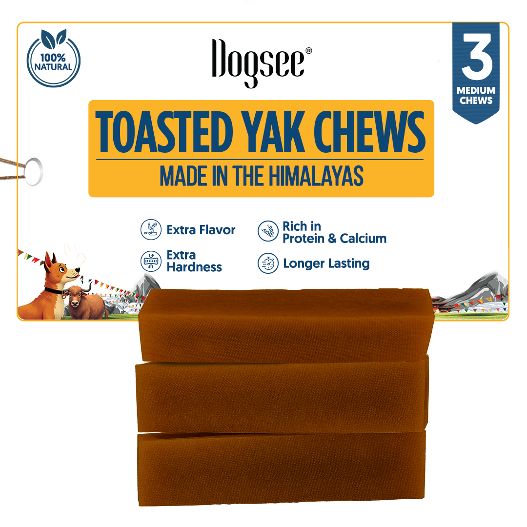 page loading GIF - Dogsee